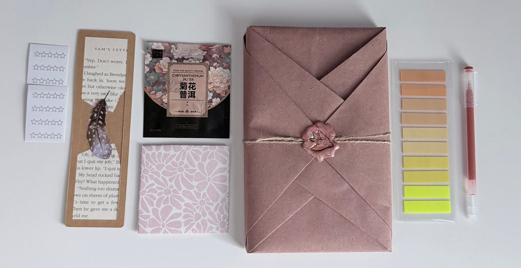 Blind Date With a Book - Cozy Bundle ✨