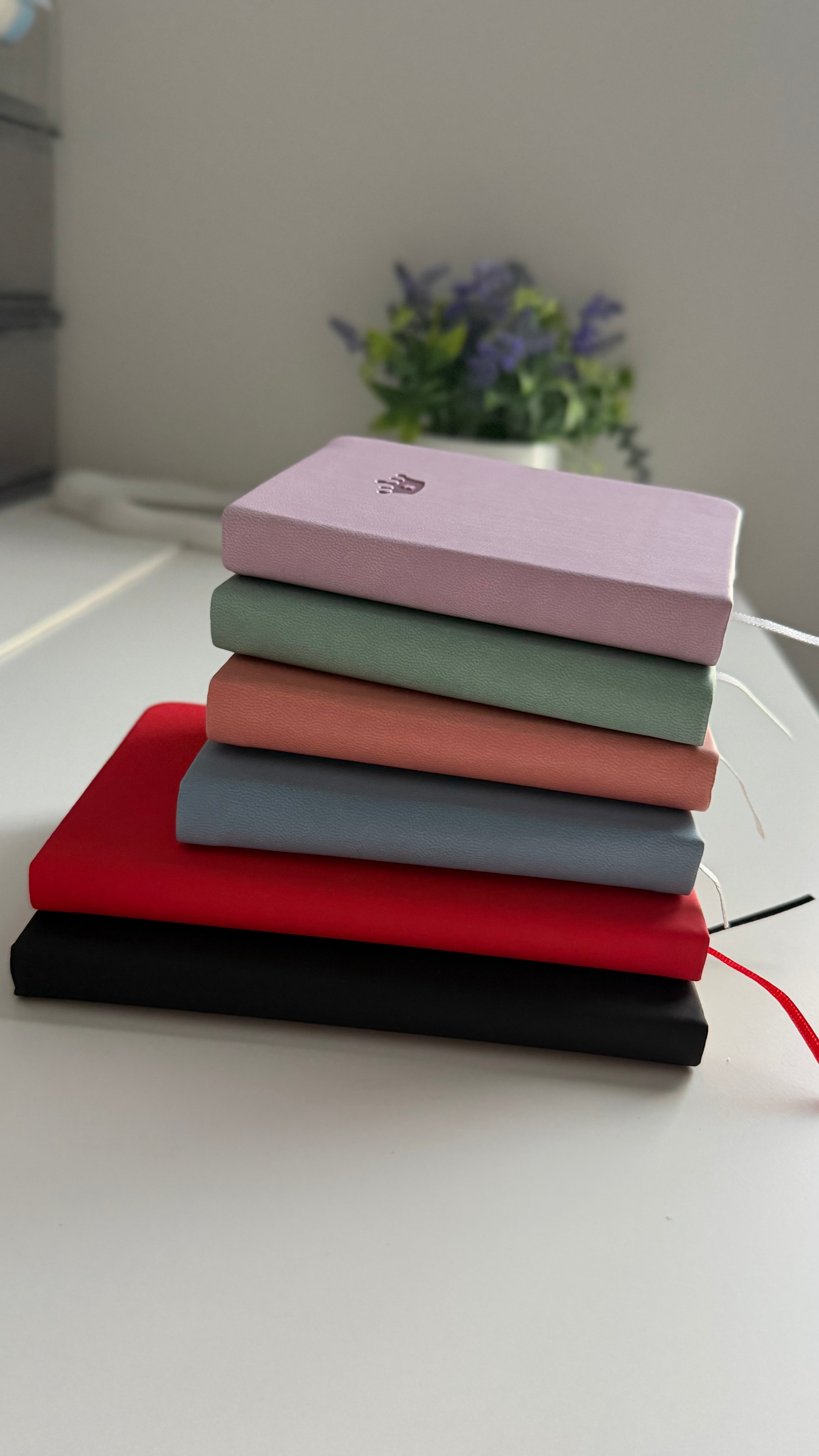 Mini Journal Notebook